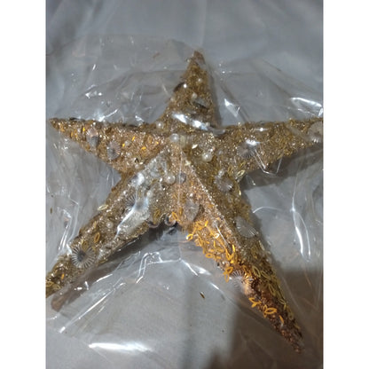 North Pole Trading Co. Glitter Beaded Star Set 2-pc. Christmas Ornament Gold