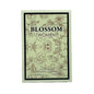 Blossom For Women Eau De Parfum Fragrance